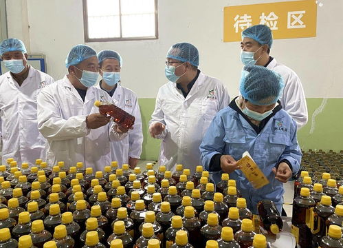 天津市甘肅商會赴武山縣考察，共探農(nóng)產(chǎn)品與工藝品產(chǎn)銷合作新機(jī)遇